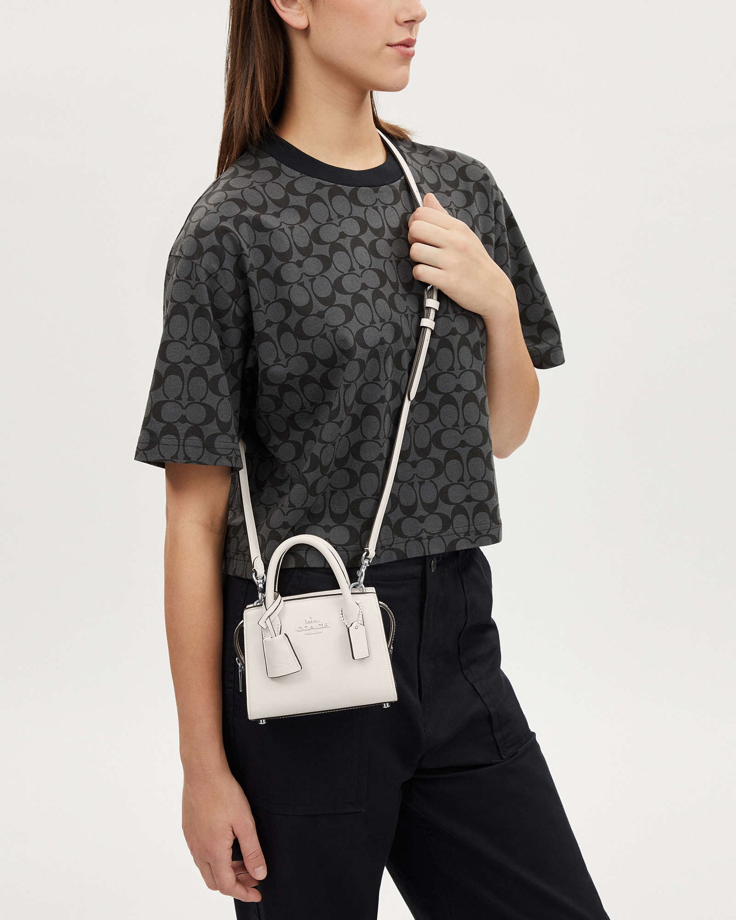 Coach Andrea Mini Carryall
