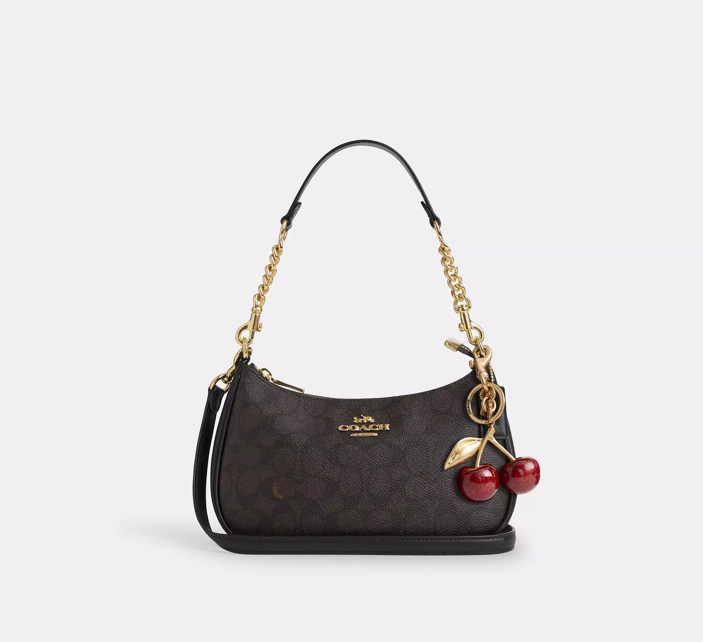 Coach Teri Shoulder Bag In Signature Canvas