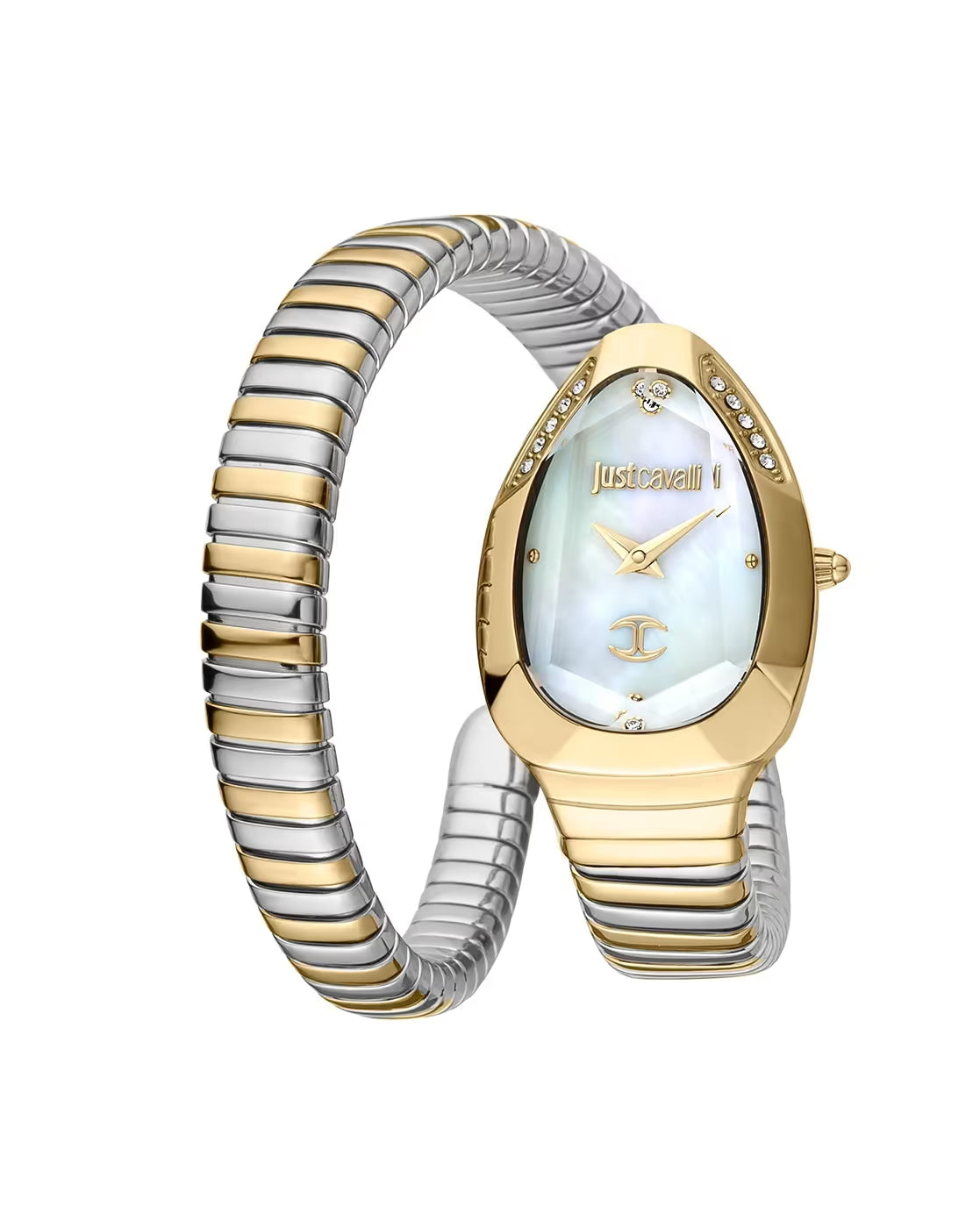 JUST CAVALLI Women Serpente Metallica Analogue Watch - JC1L208M0065