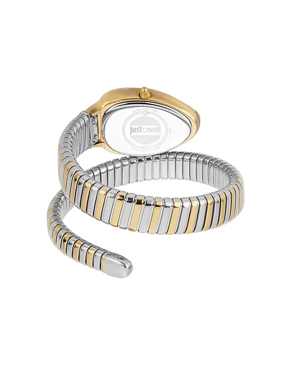 JUST CAVALLI Women Serpente Metallica Analogue Watch - JC1L208M0065