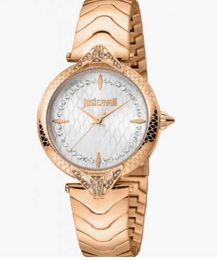 Just Cavalli Women's watch JC1L238M0085