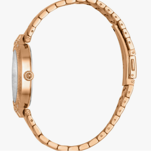 Just Cavalli Women's watch JC1L238M0085