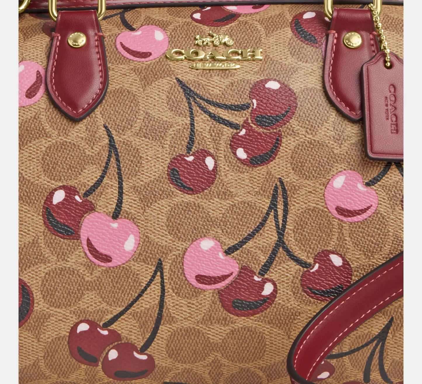 Coach Rowan Satchel Bag - Signature Canvas - Cherry Print