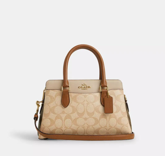 Coach Carryall in Blocked Signature Canvas