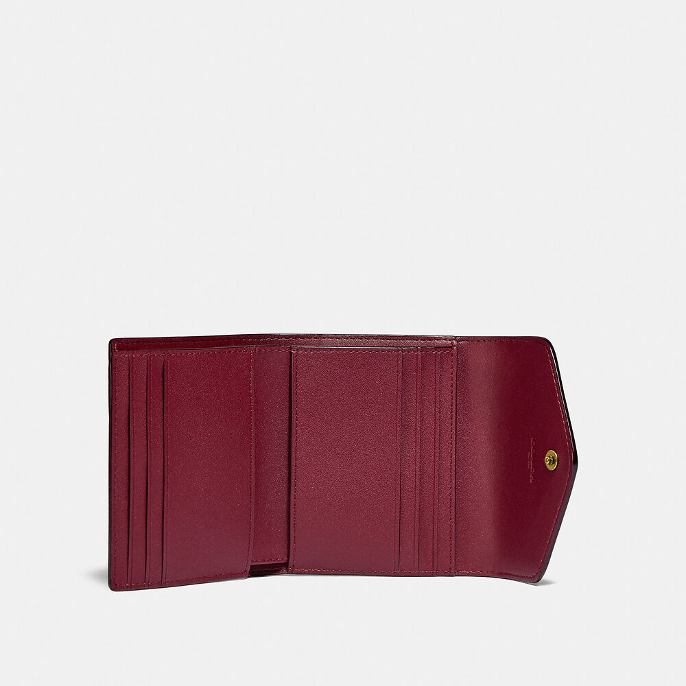 Wyn Small Wallet In Colorblock Signature Canvas