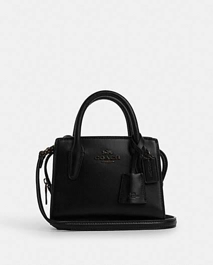 Coach Andrea Mini Carryall