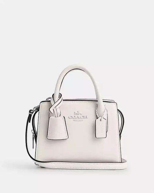 Coach Andrea Mini Carryall